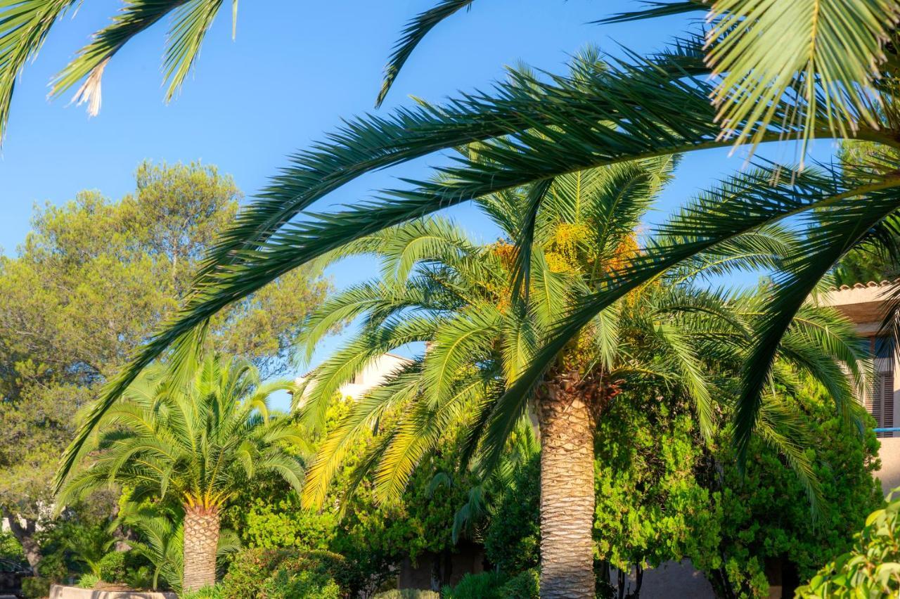 Residence Goelia Les Jardins D'Azur Saint-Raphaël Eksteriør bilde